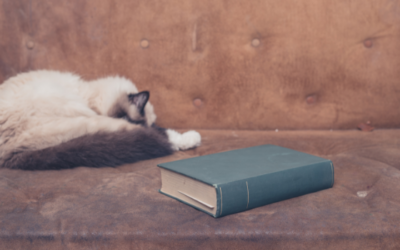 Law, Gospel, and What?