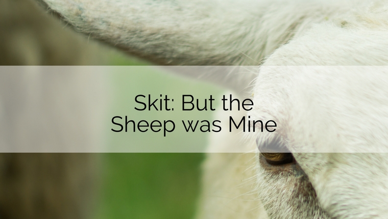 But the Sheep was Mine