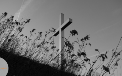Enduring our Corruption: Understanding Original Sin