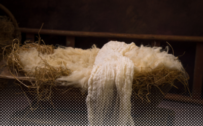 Humbleness – An Advent Devotion