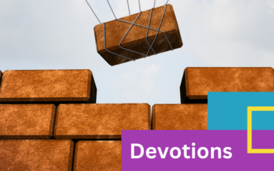 Stopping the Cycle: A Rebuilding Series Devotion