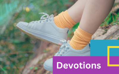 Why Should I?: The Exodus Series Devotion